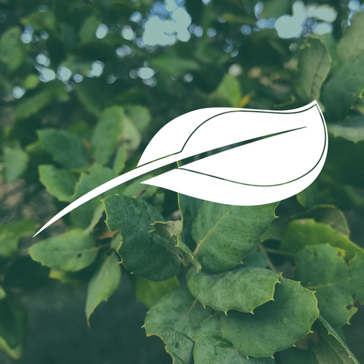 Percurso Eco-Botânico MGG app icon