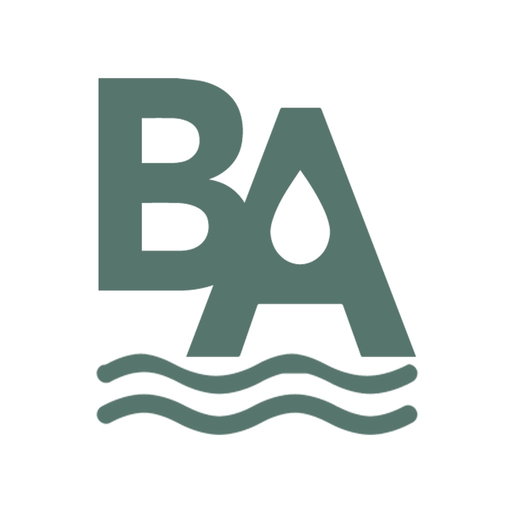 Born Again Mobile app icon