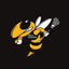 Roaring Fork Lacrosse Club icon