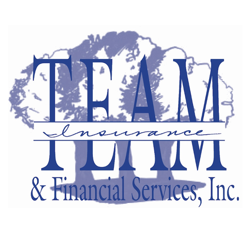 Team Insurance Express app icon