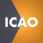 ICAO Level 4: Aviation English icon