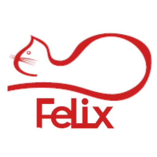 Felix Cloud app icon