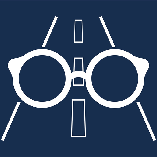 Vision & Road Safety Simulator app icon