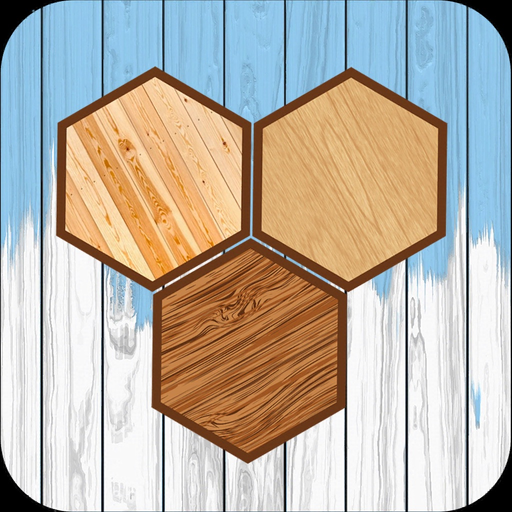 Hexa Wooden Block Puzzle! app icon