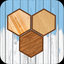 Hexa Wooden Block Puzzle! icon