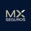 MX Seguros icon