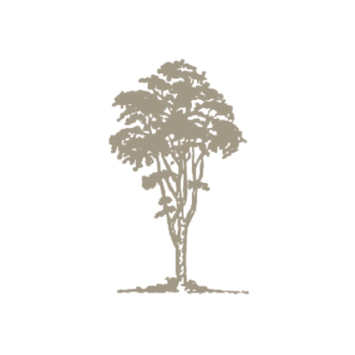 RSFGC app icon
