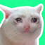 Best Cat Stickers WAStickerApp icon