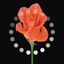 DIGICORO くるくるタイム icon