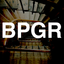 Bearing Pinball Go-Round icon