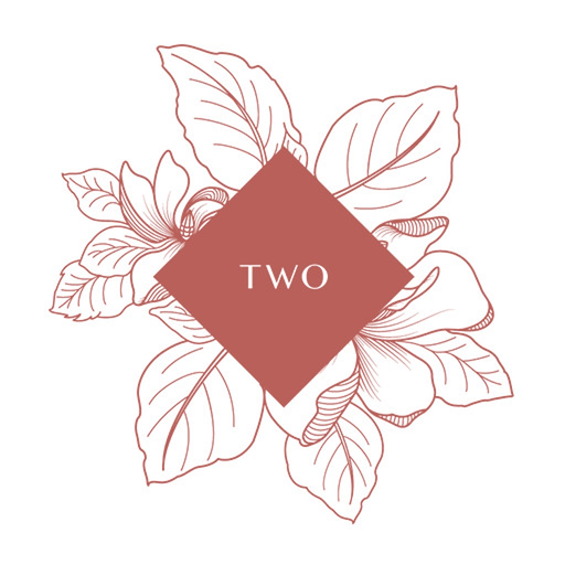 Two Old Town Park app icon