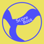 V-ScoreBook icon