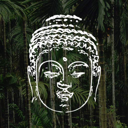 Bodhi Medical Qigong app icon
