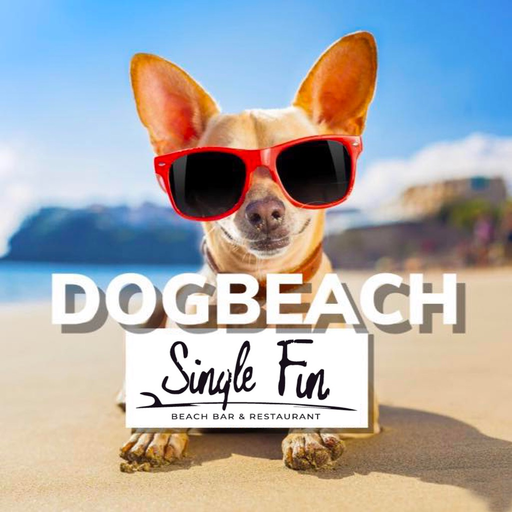 Single Fin Tuscany Dog Beach app icon