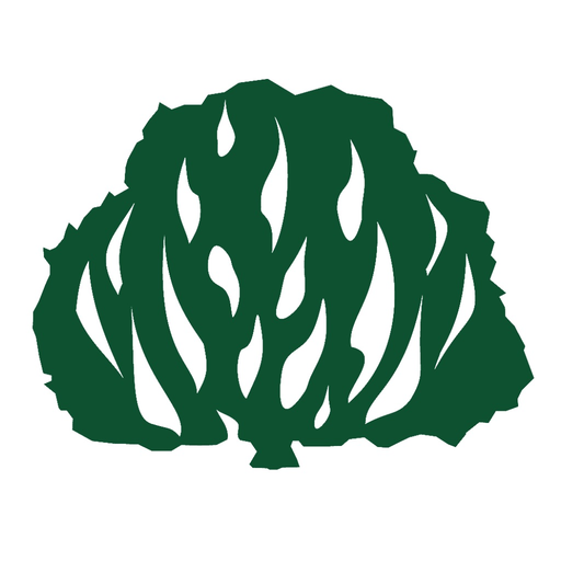 Presbiteriana Ribeirão Pires app icon
