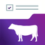 Prog. Beef Audit icon