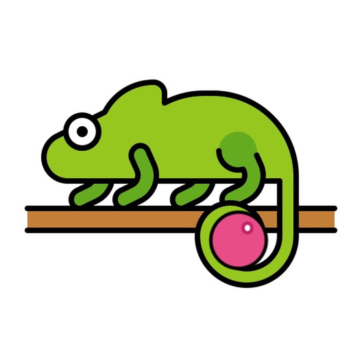 Camoplay app icon