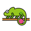 Camoplay icon