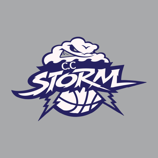 Chester County Storm app icon