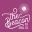 Soul33 icon