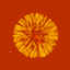 Wow~Fireworks! icon