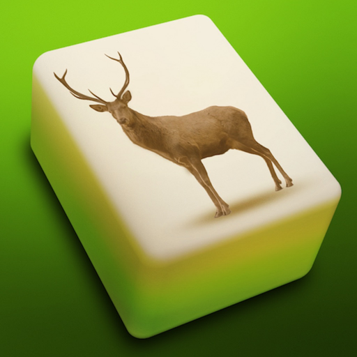 Mahjong Solitaire 3D : Quest app icon