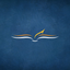 Bible Study Media icon