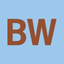 BRAUWELT icon
