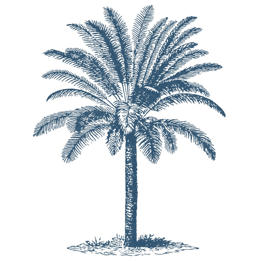 Casa Palmera app icon