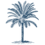 Casa Palmera icon