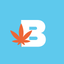 BudGuide icon