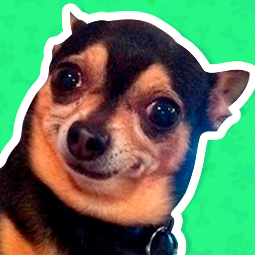 Best Dog Stickers for WhatsApp app icon
