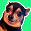 Best Dog Stickers for WhatsApp icon