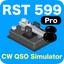 RST 599 Pro icon