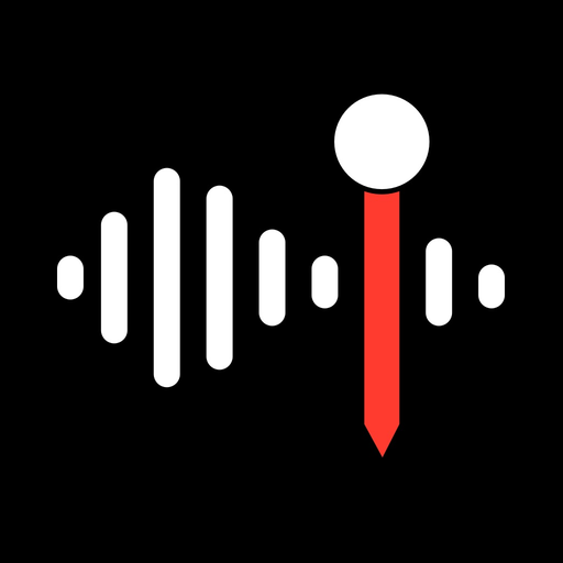 Voice Recorder with Timecodes app icon