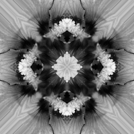 Fou Flowers app icon