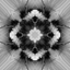 Fou Flowers icon