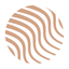 Skinerica icon