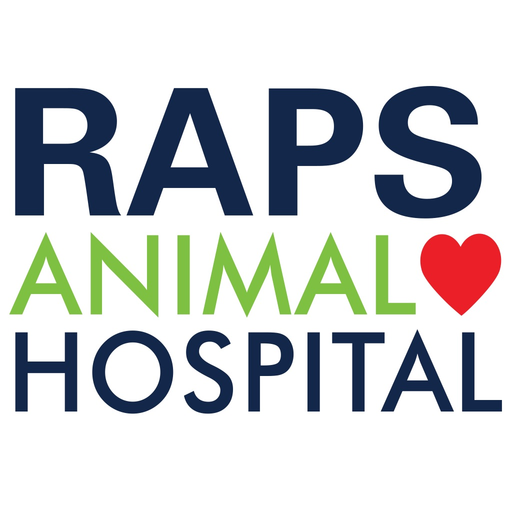RAPS Animal Hospital app icon