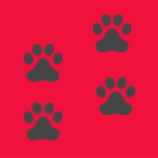 Dog Breed Camera app icon
