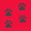 Dog Breed Camera icon
