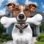 Pet Vet Hospital - Doctor Care icon