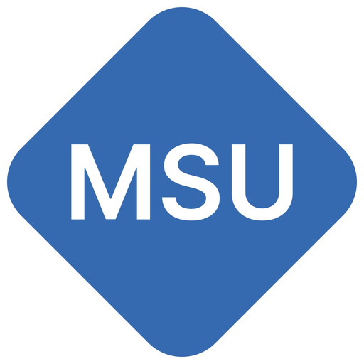 Mobile Security User app icon
