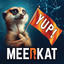 Meerkat Online icon