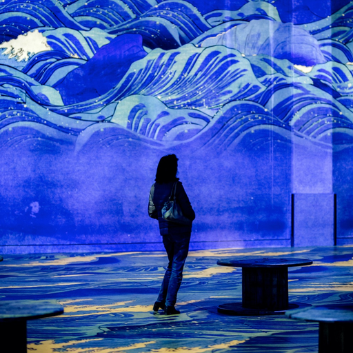 The DES LUMIÈRES art centres app icon