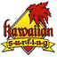 Hawaiian Surfing icon