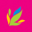 VarmoraApp icon