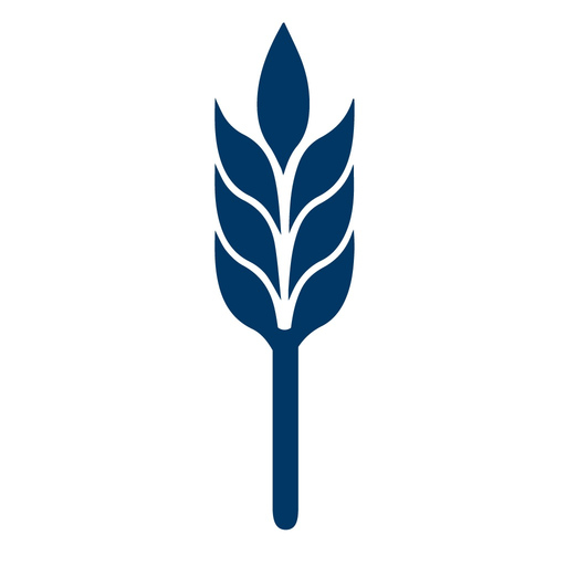 Bel Air Investment Advisors app icon