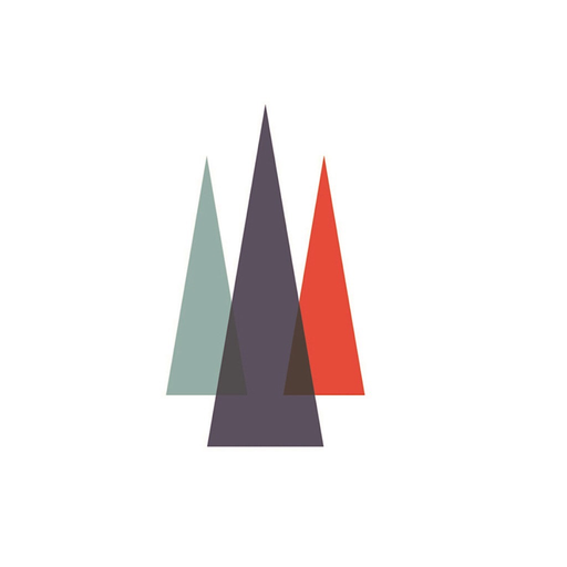 BMW Law app icon