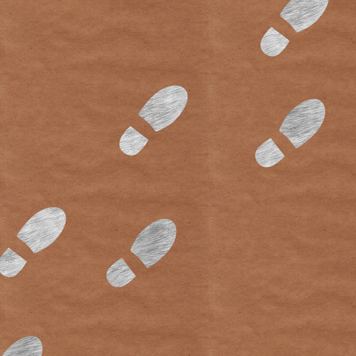 PaperSteps app icon